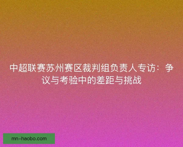 中超联赛苏州赛区裁判组负责人专访：争议与考验中的差距与挑战